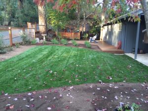 Thermally modified wood deck in Santa Rosa CA