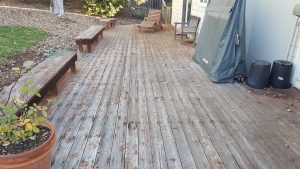 Zuri Walnut Deck in Santa Rosa - Before pic of benches
